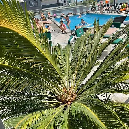 Appartement Studiou Andu Nord 10 By Alezzi Năvodari